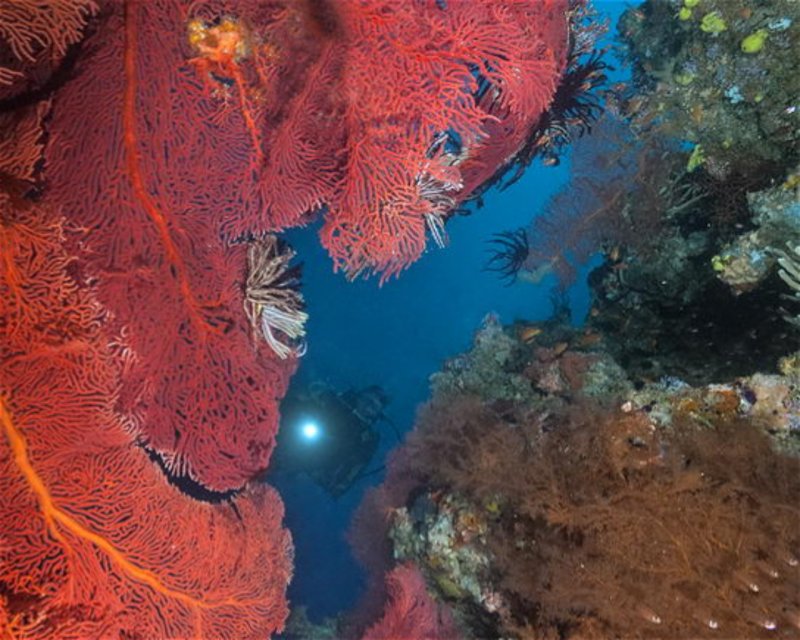 Divesite Image