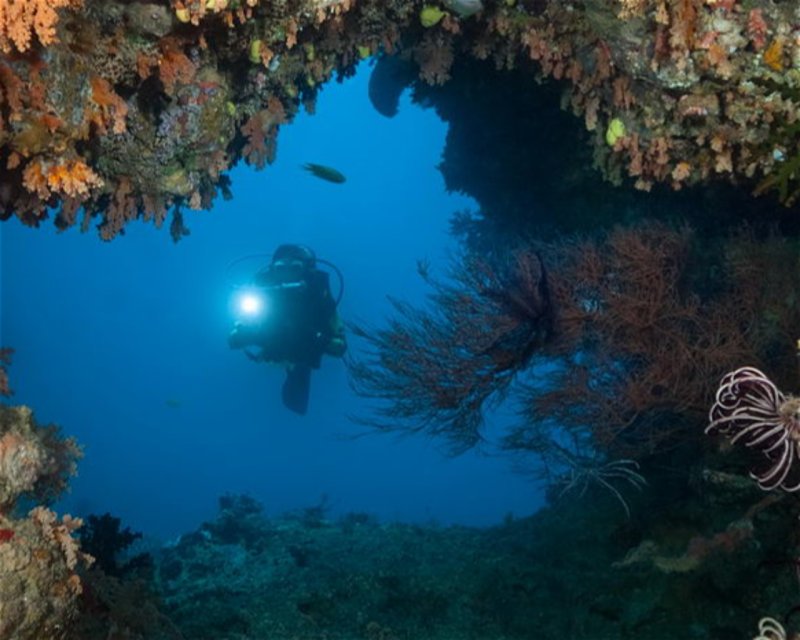 Divesite Image