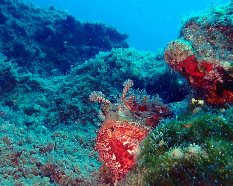 Divesite Image