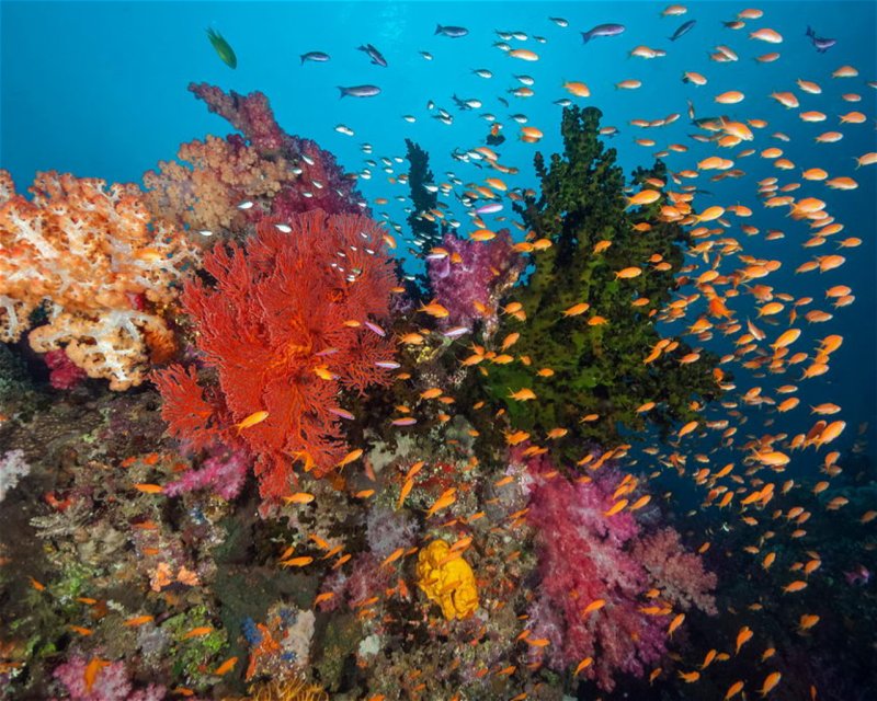 Divesite Image