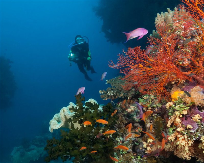 Divesite Image