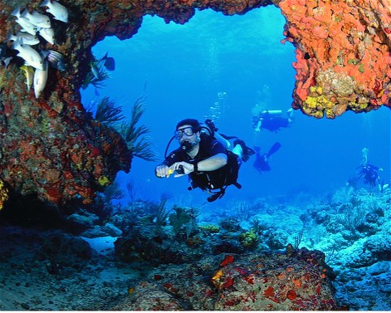 Divesite Image