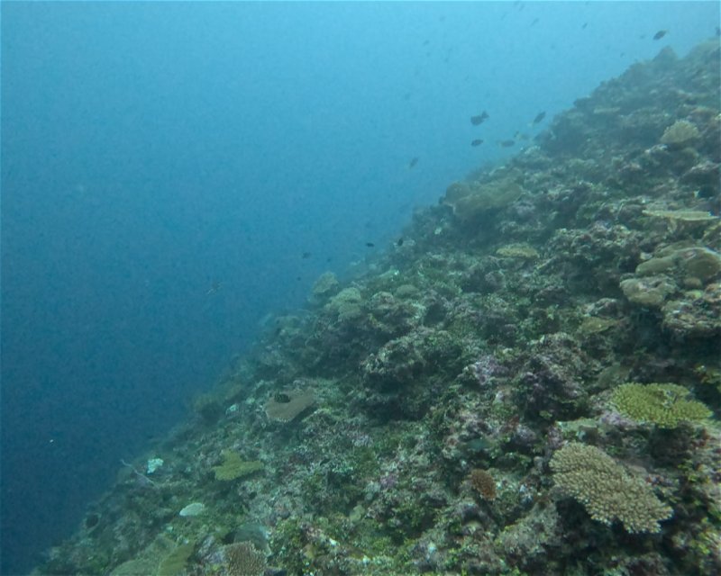 Divesite Image