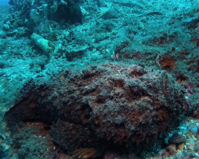 Divesite Image