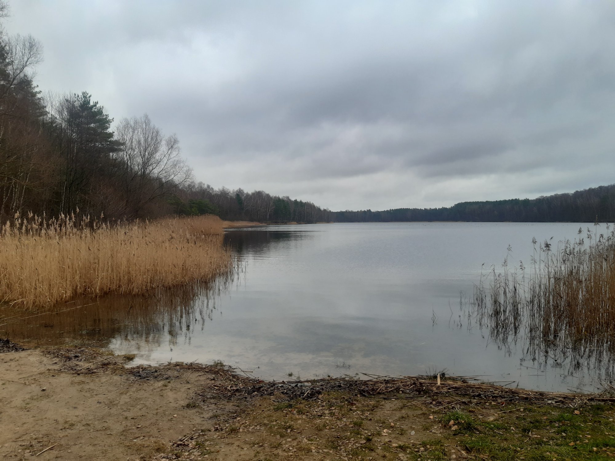 Grzegorz K. (#3017018)