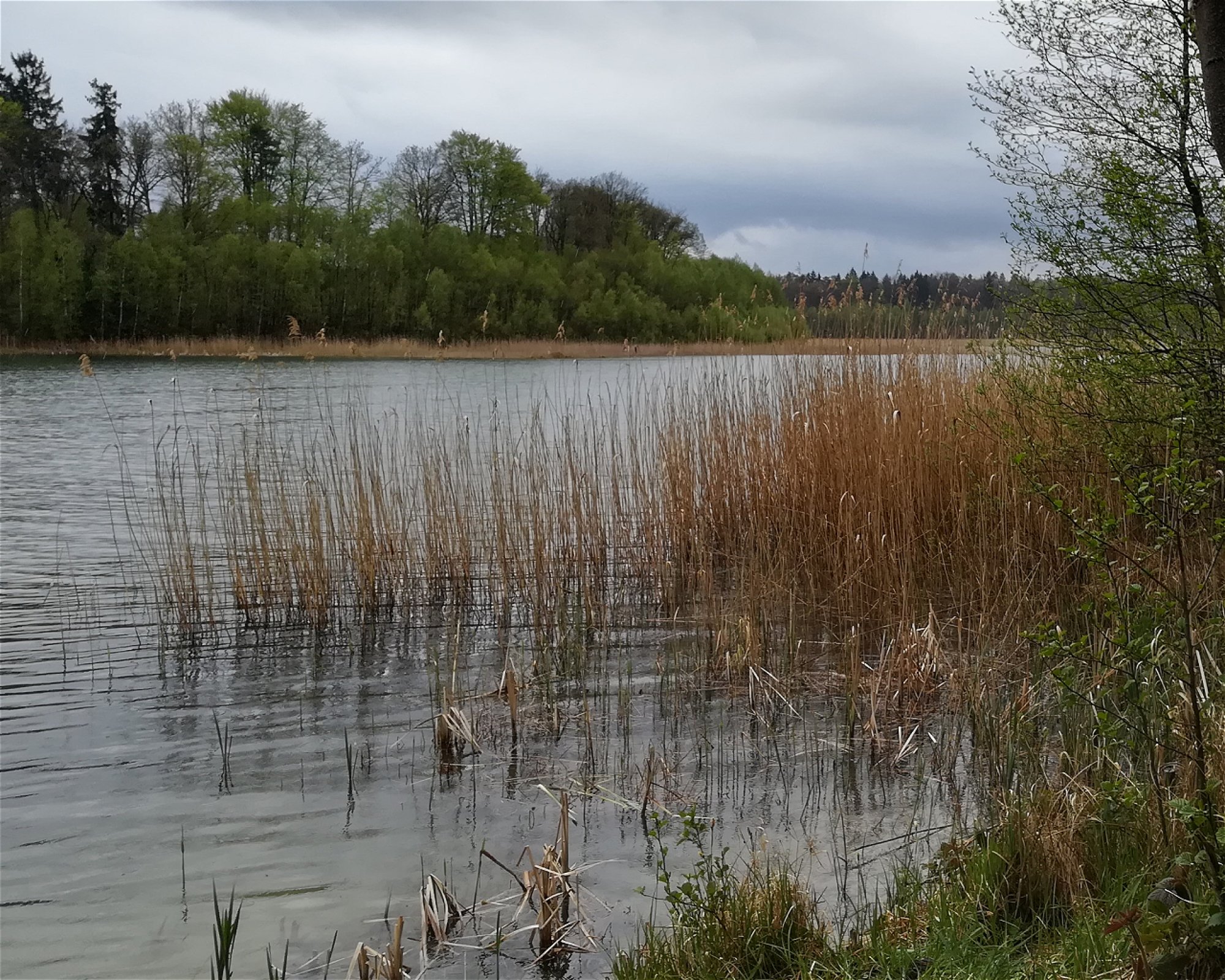 Centrum Nurkowe Aqarium, 78-100 Kołobrzeg