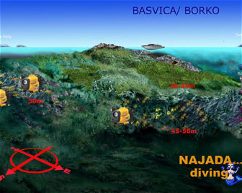 Divesite Image