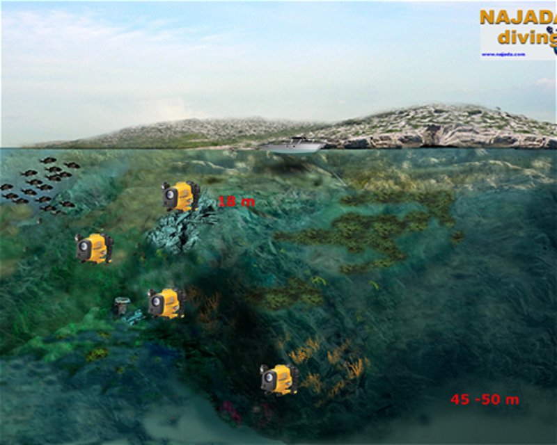 Divesite Image