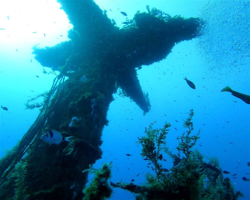 Divesite Image