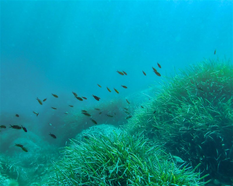 Divesite Image