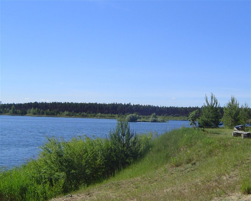 Divesite Image