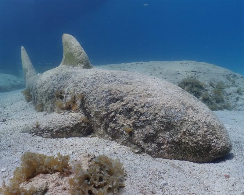 Divesite Image