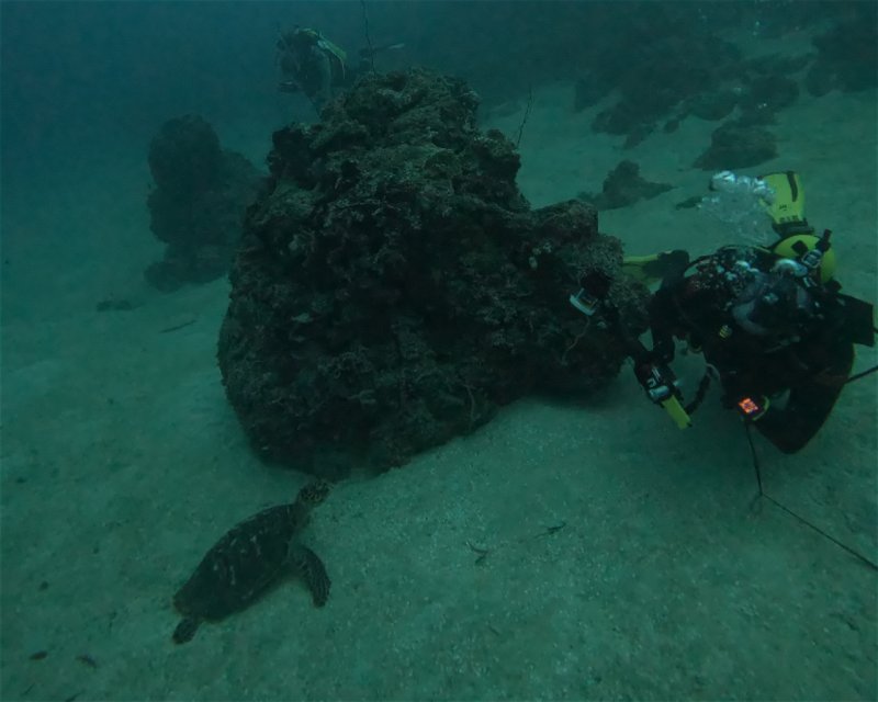 Divesite Image