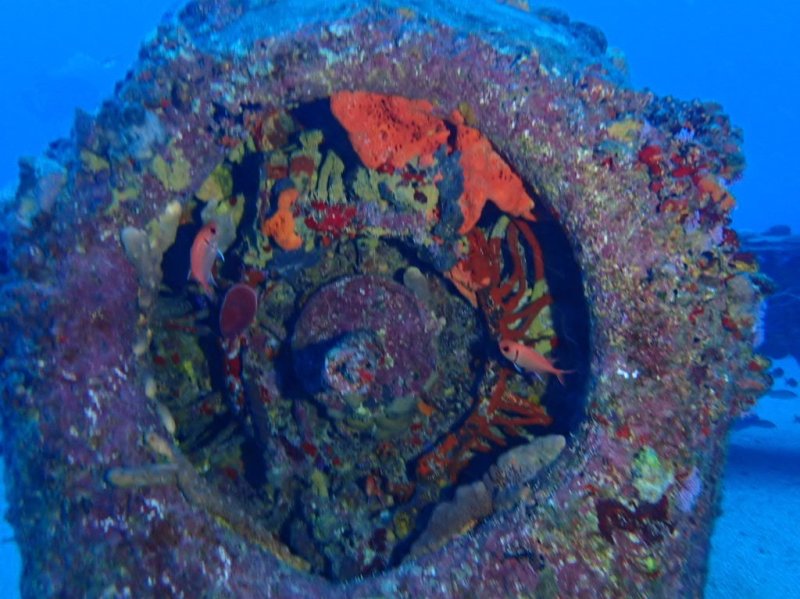 Divesite Image