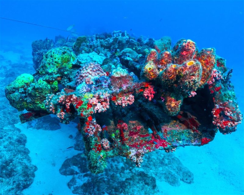 Divesite Image