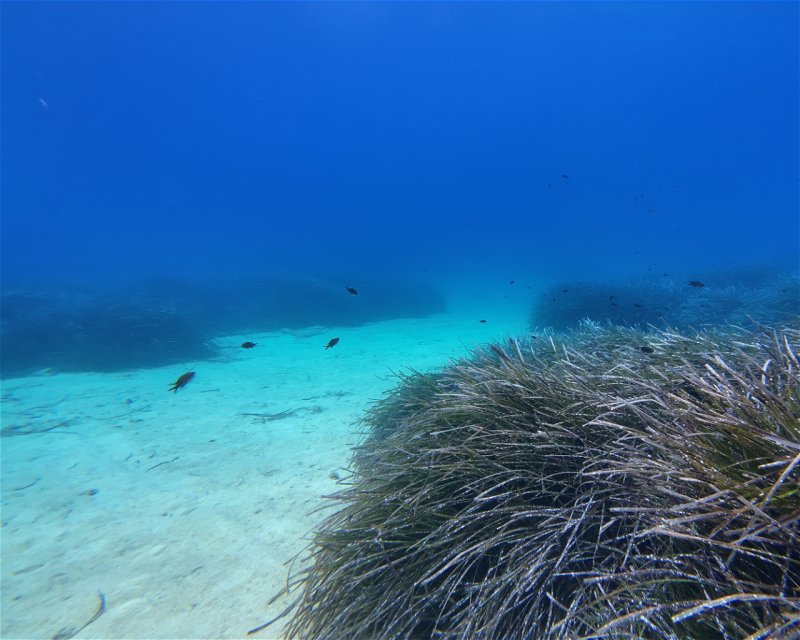Divesite Image