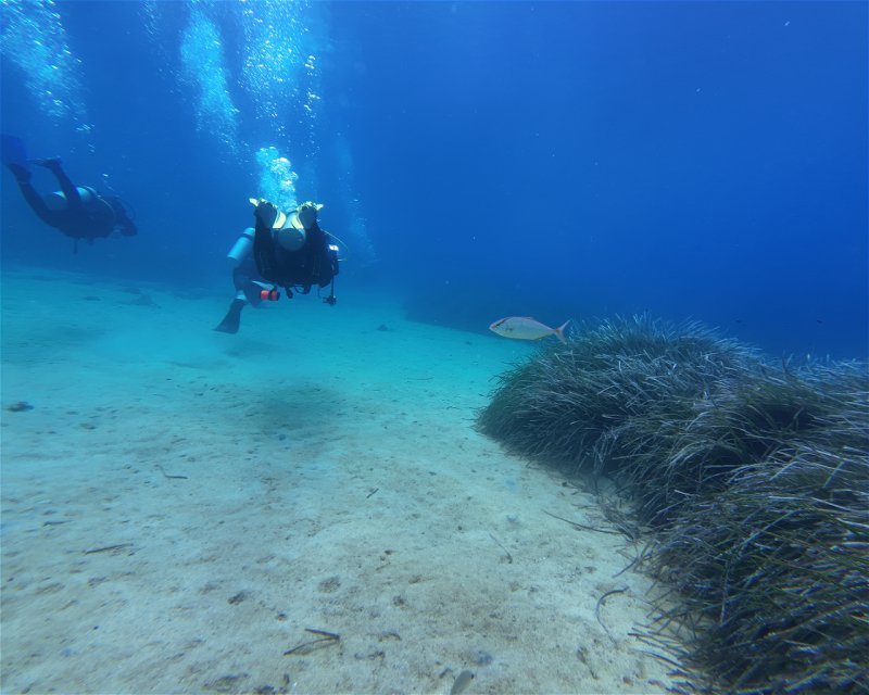 Divesite Image