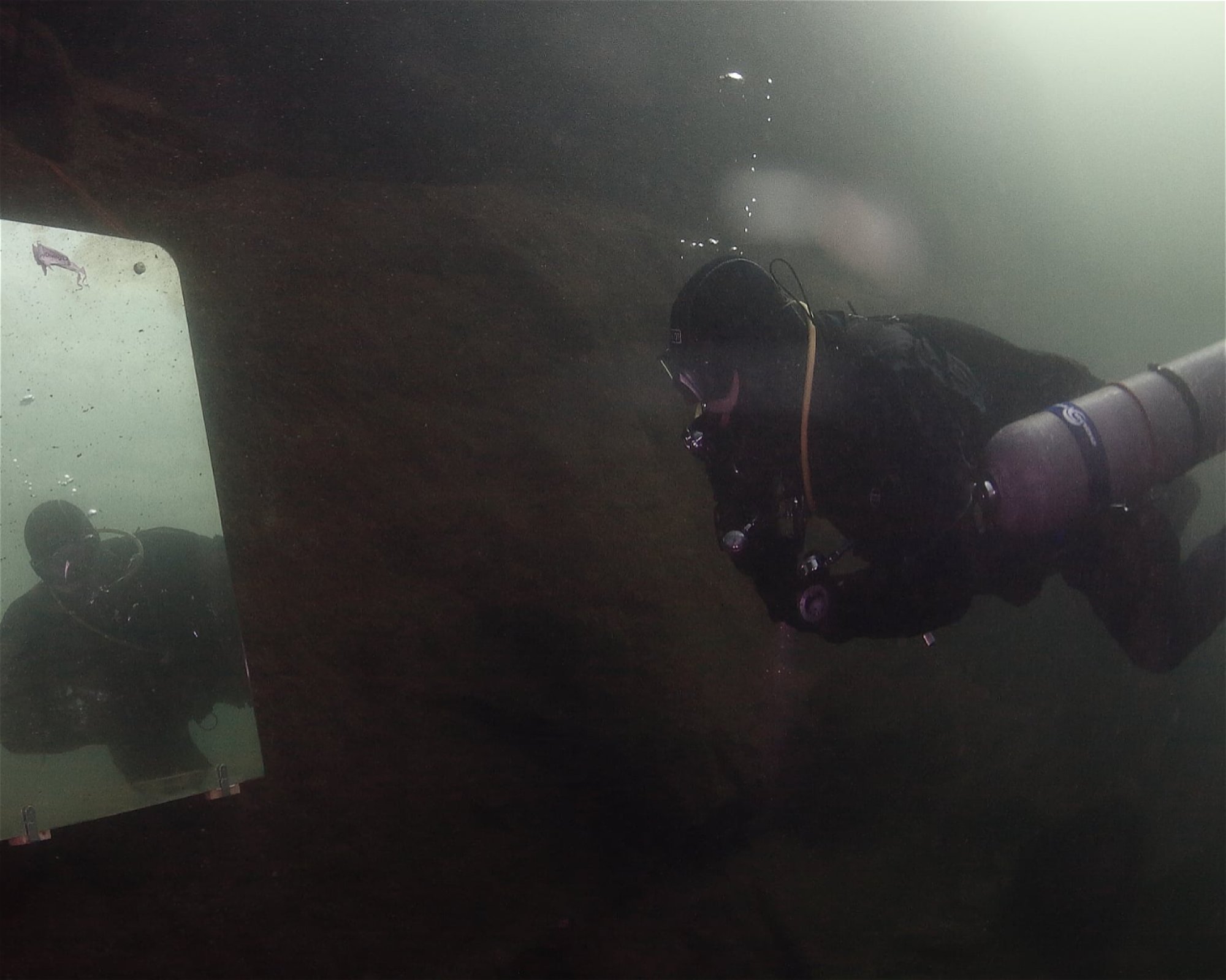 Potya SSI Dive center, 16200 Praha 6