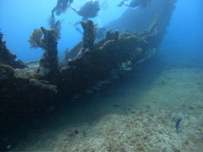 Divesite Image