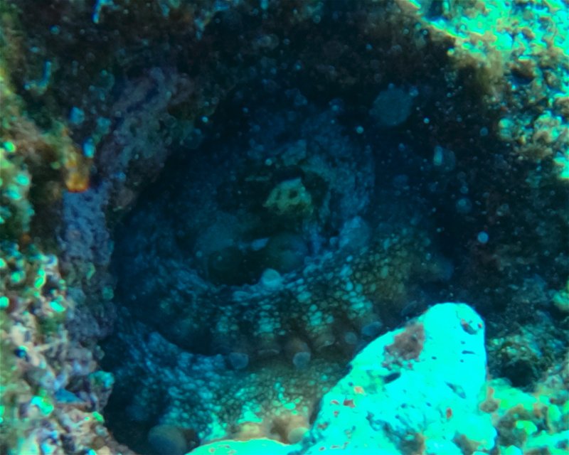 Divesite Image
