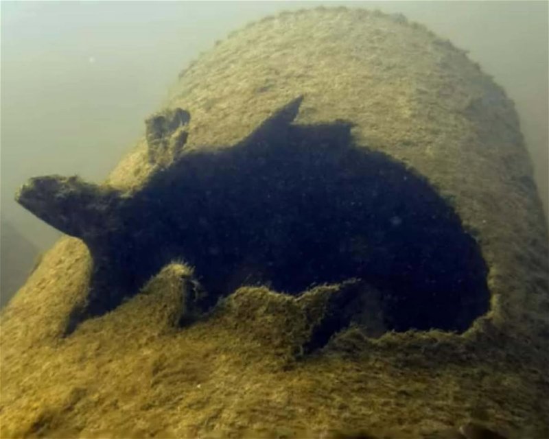 Divesite Image