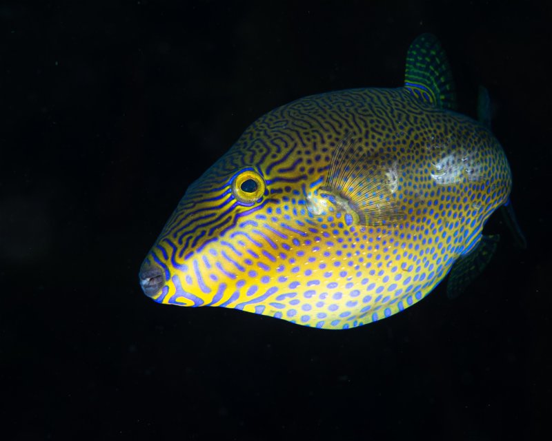 Divesite Image
