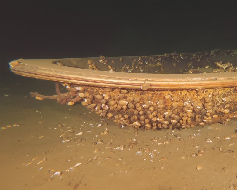 Divesite Image