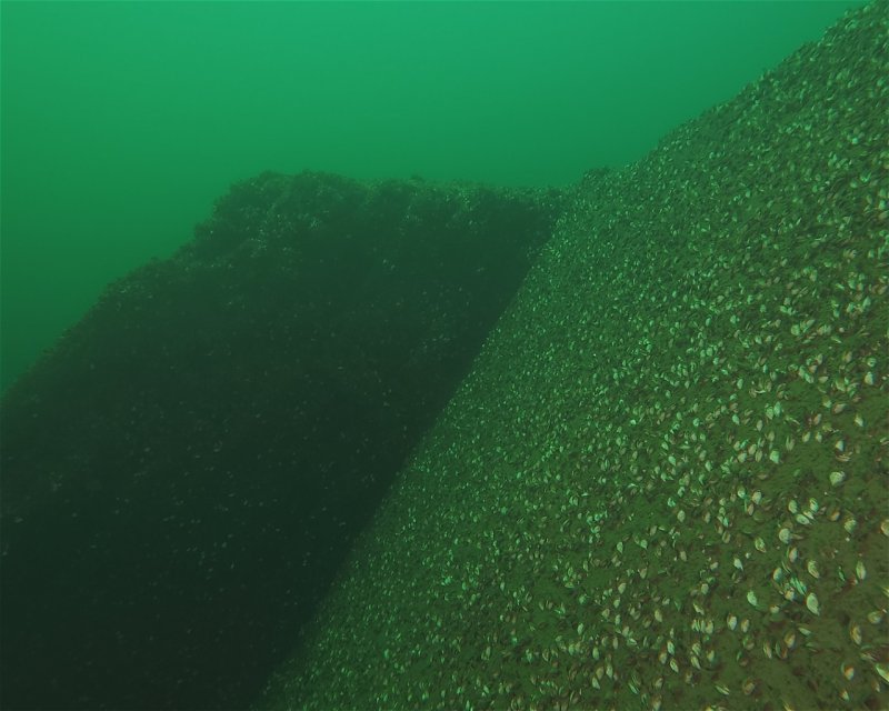 Divesite Image