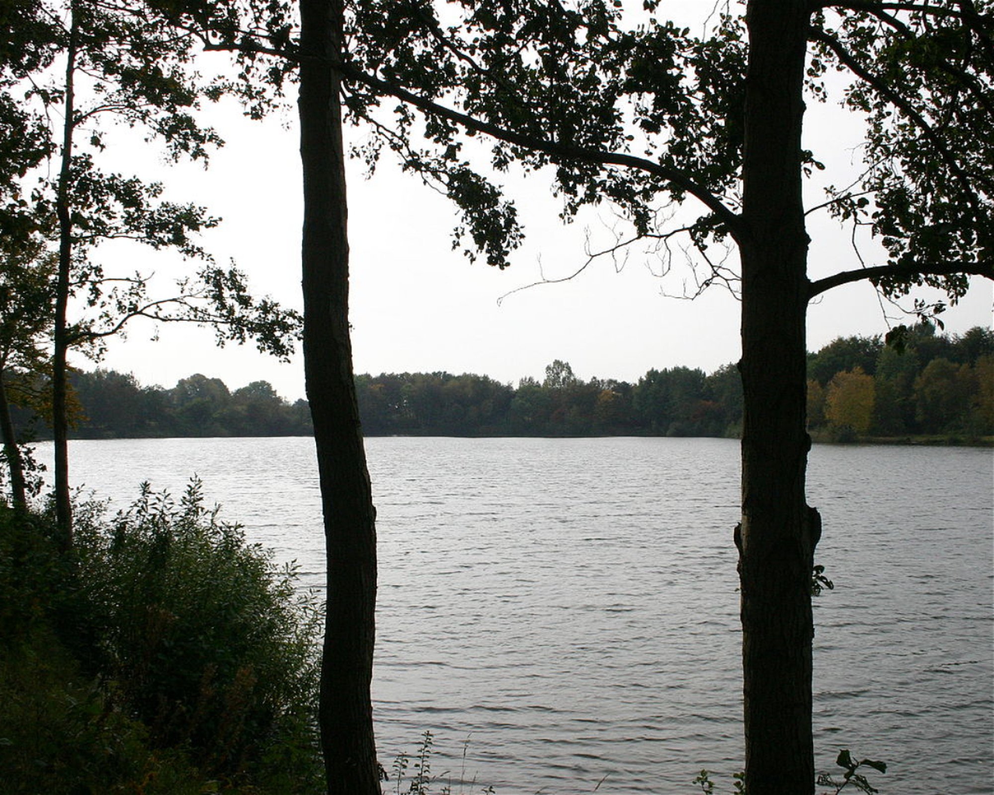 Hanse Taucher, 26529 Upgant-Schott