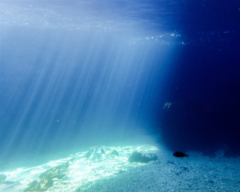 Divesite Image