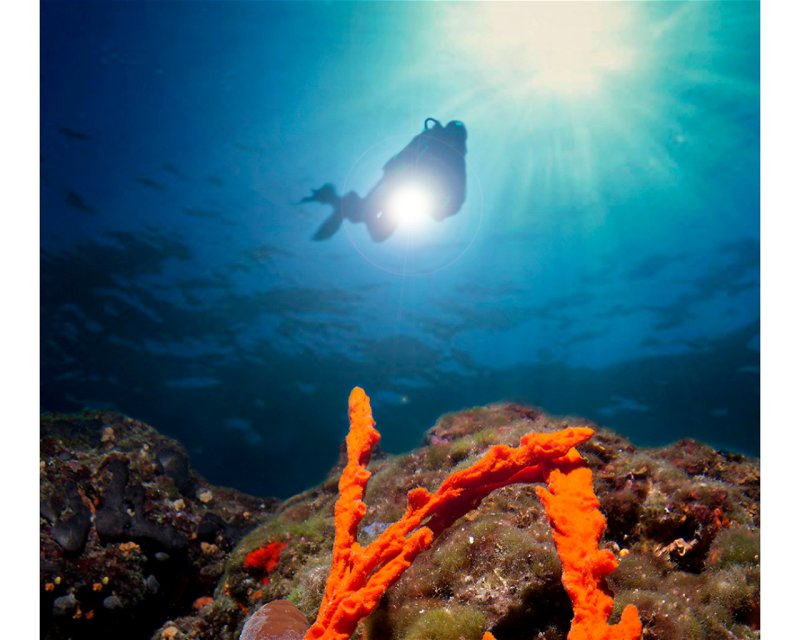 Divesite Image