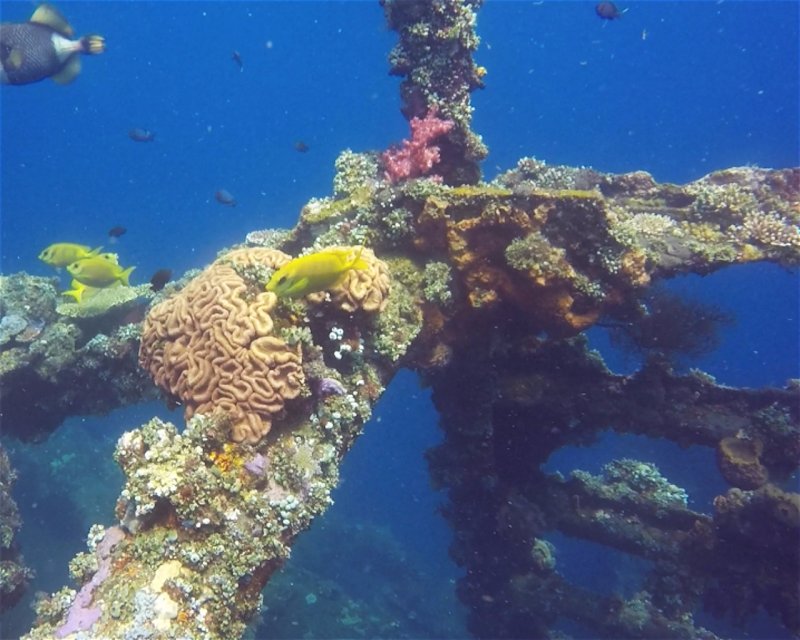 Divesite Image