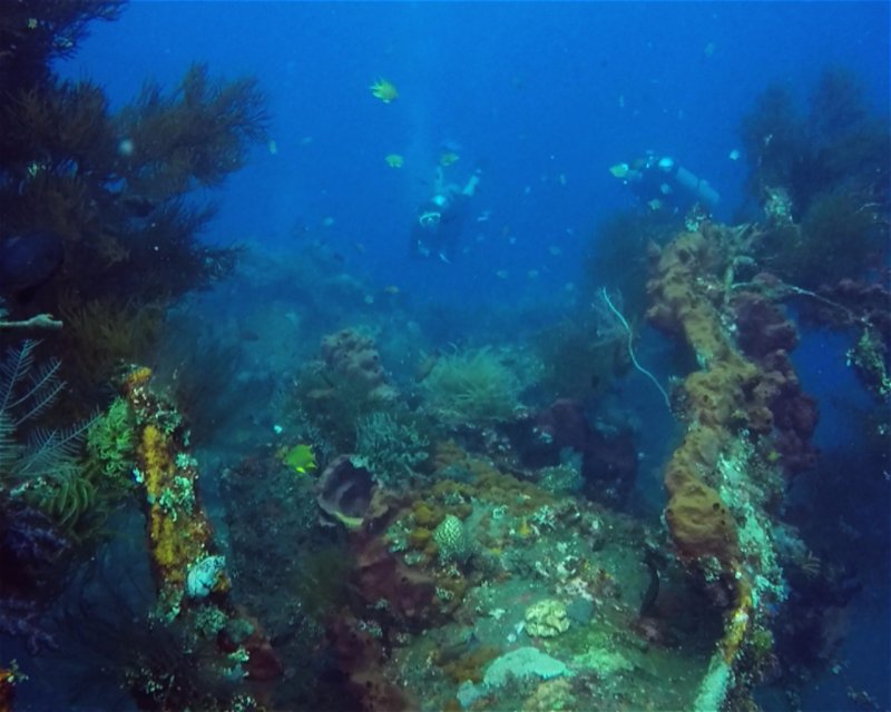Divesite Image