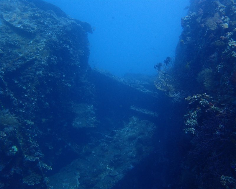 Divesite Image