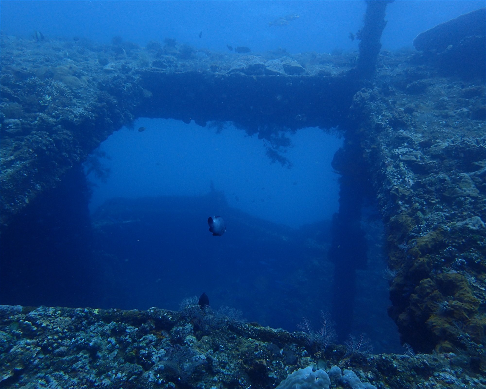 Amed Buddha Diving, 80852 Bunutan