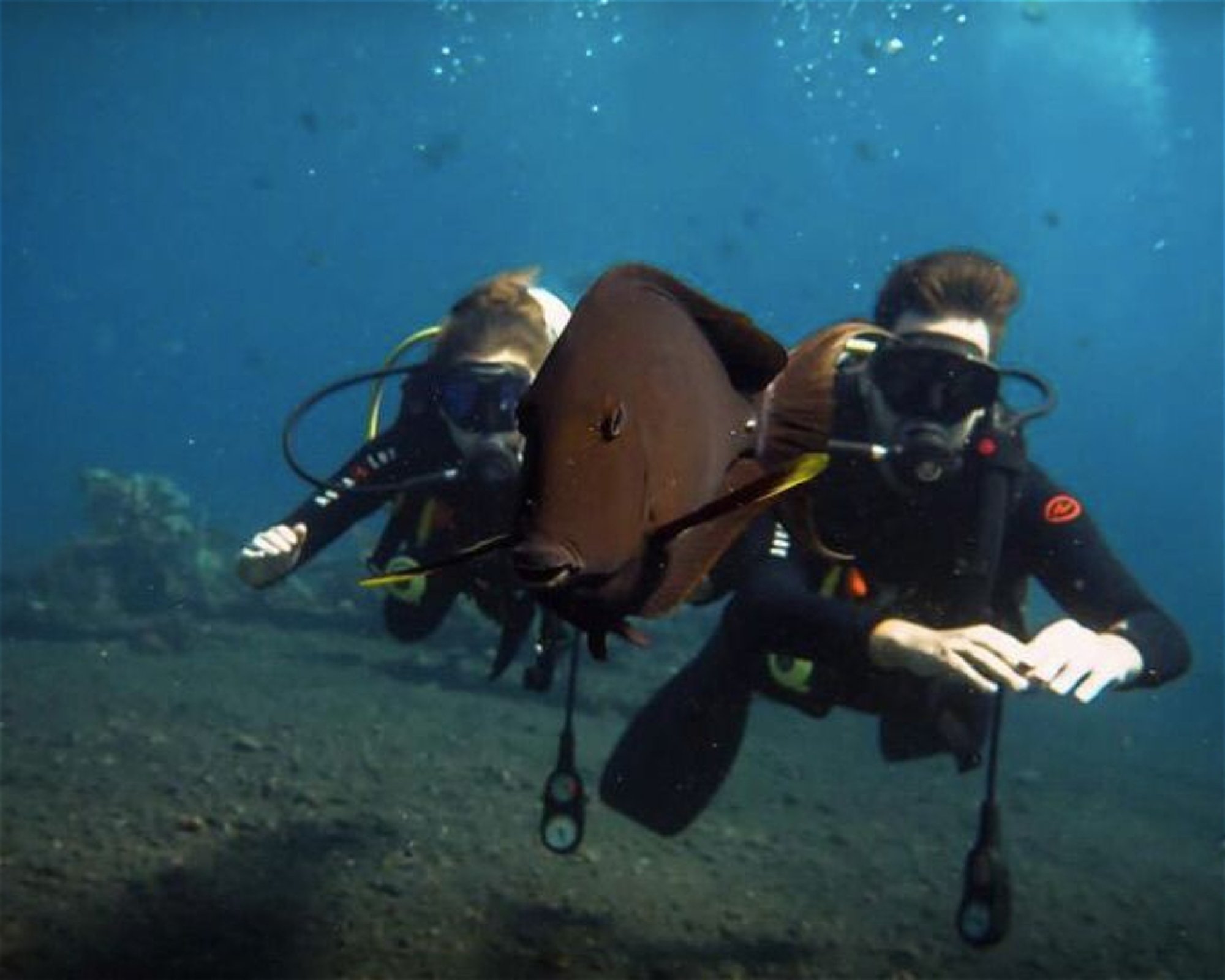 Amed Jepun Divers, 80852 Amed, Karangasem