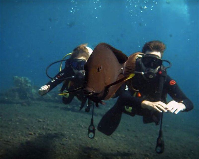 Divesite Image