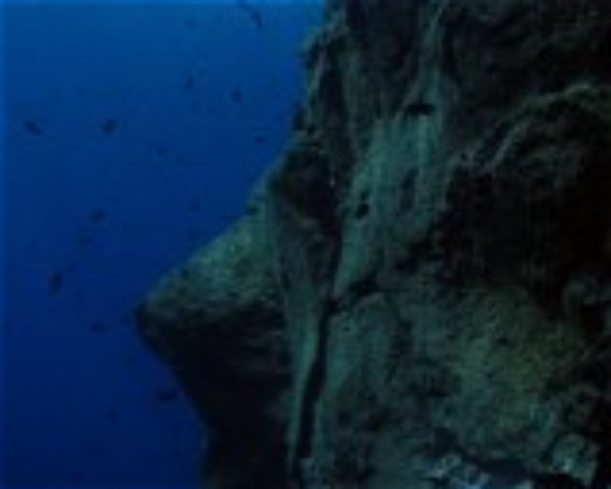 AEGEAN DIVERS, 84700 SANTORINI