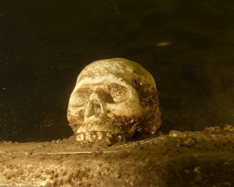 Divesite Image