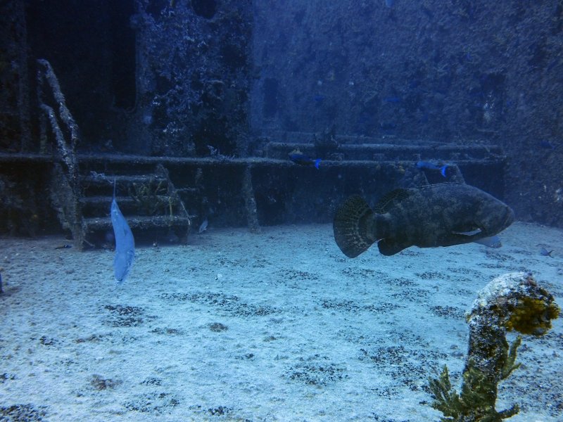 Divesite Image
