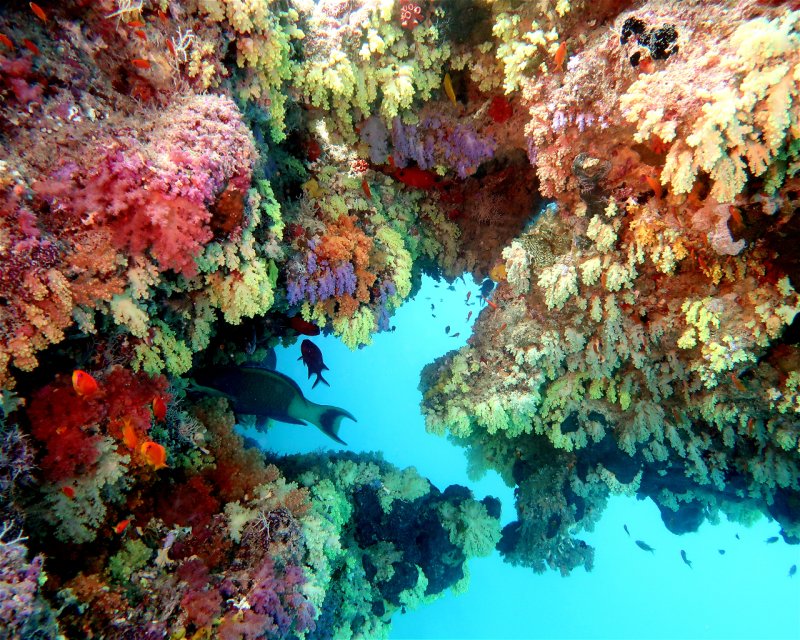 Divesite Image