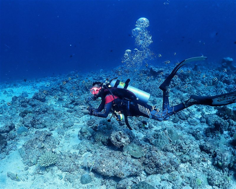 Divesite Image