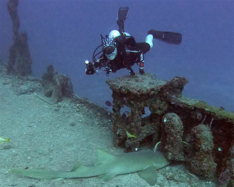 Divesite Image