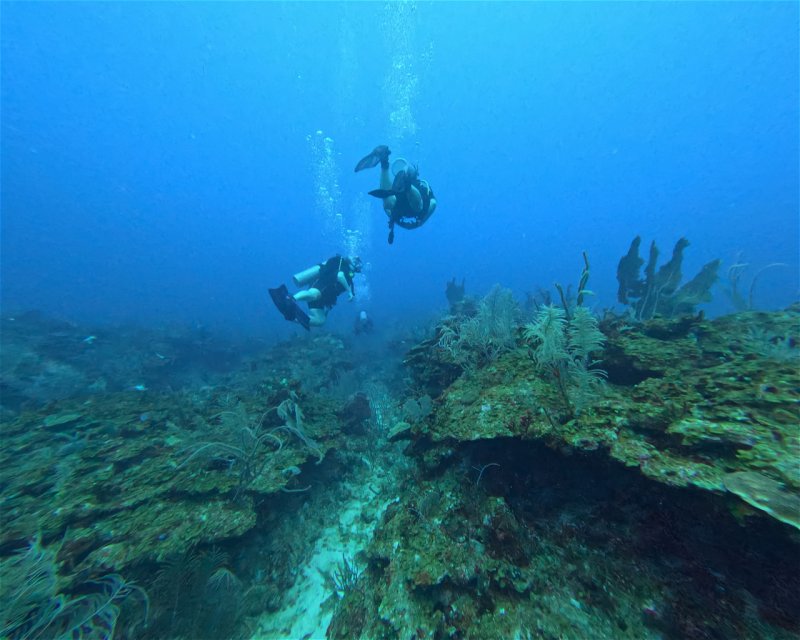Divesite Image