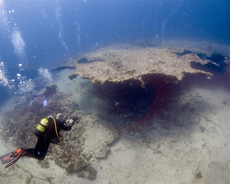 Divesite Image