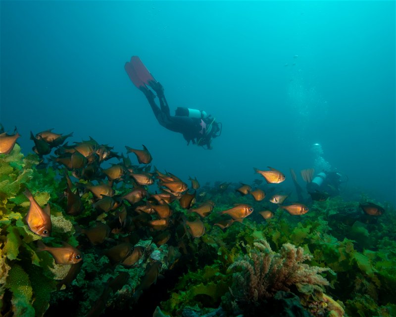 Divesite Image