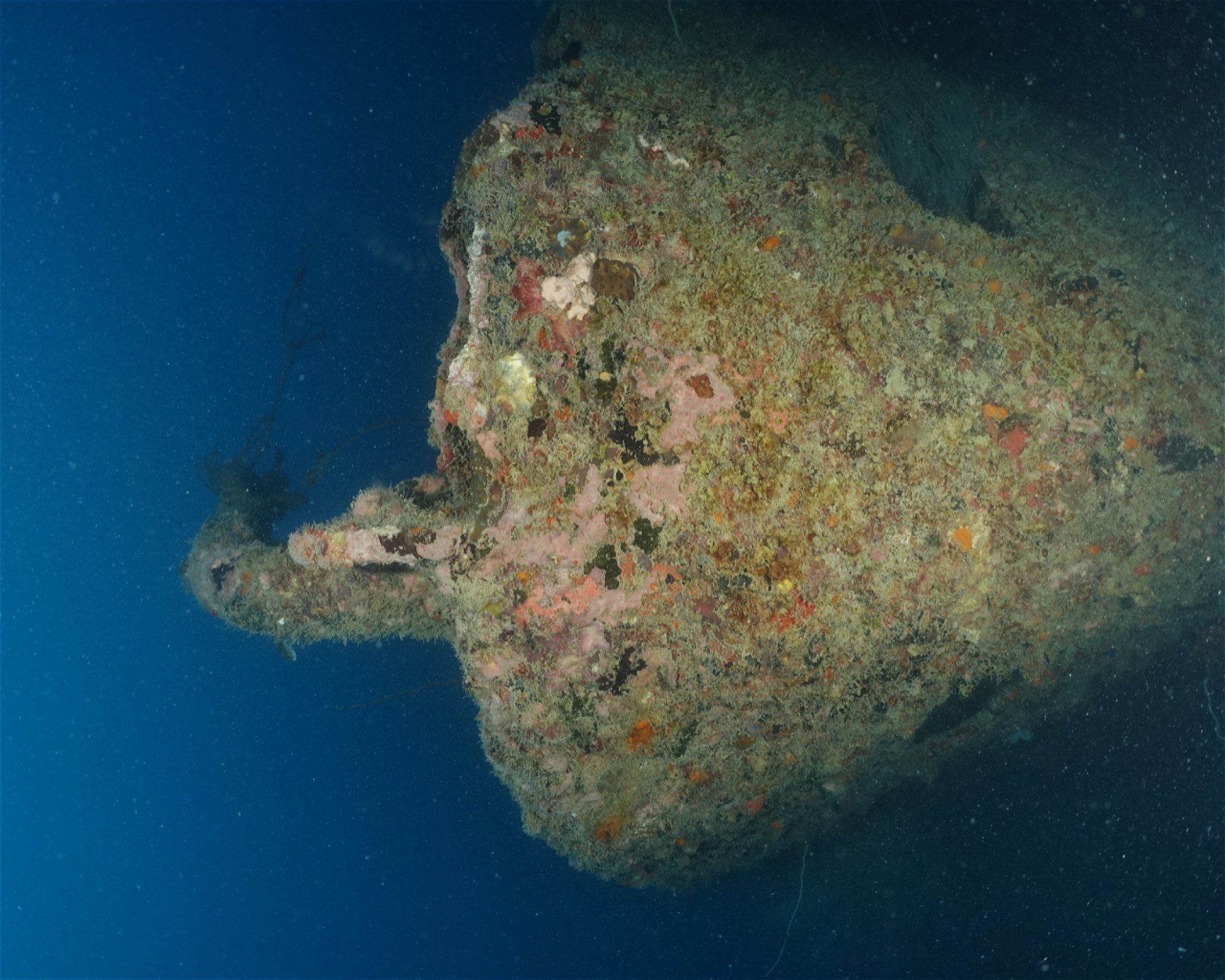 INSTRUMENT DIVE ADVENTURE, 17111 Bekasi Timur