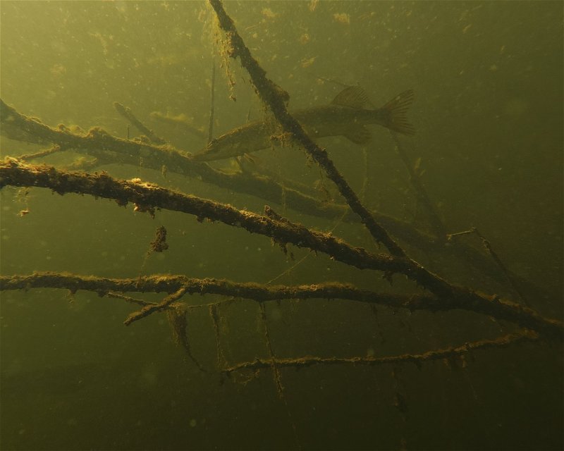 Divesite Image