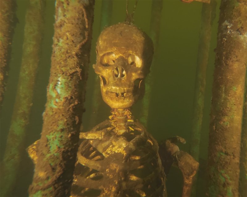 Divesite Image