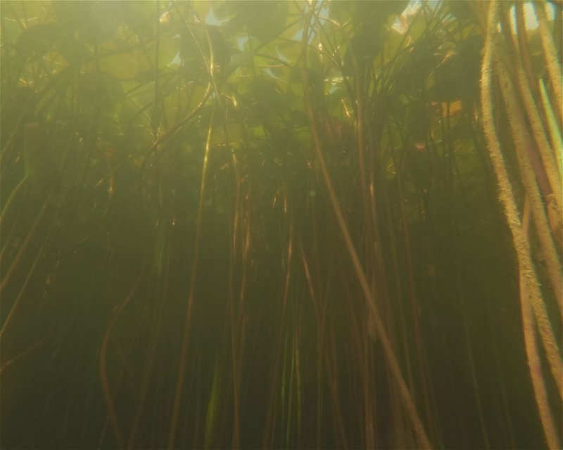 Divesite Image